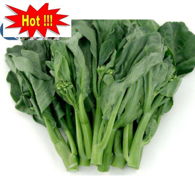 Hạt giống Cải Ngồng Mập 50 hạt