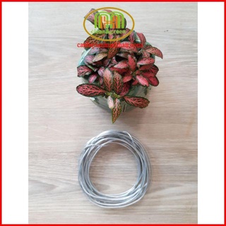 Dây nhôm kẽm uốn cây cảnh cây bonsai đẹp như khế, linh sam, nguyệt quế, mai ...5m (loại 0,5 li )