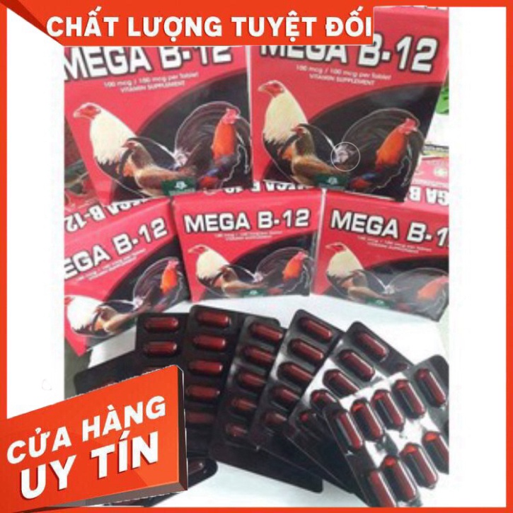 Thuốc nuôi MEGA-B12 cho gà đá BỔ MÁU TĂNG BO