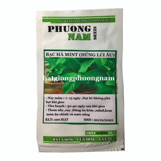 100H - HẠT GIỐNG RAU BẠC HÀ MINT