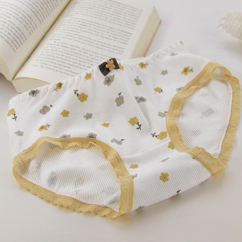 Quần Lót Cotton - Quần Lót Nữ Cotton thiết kế gân tăm cao cấp thoáng mát DAN STORE MÃ 1315