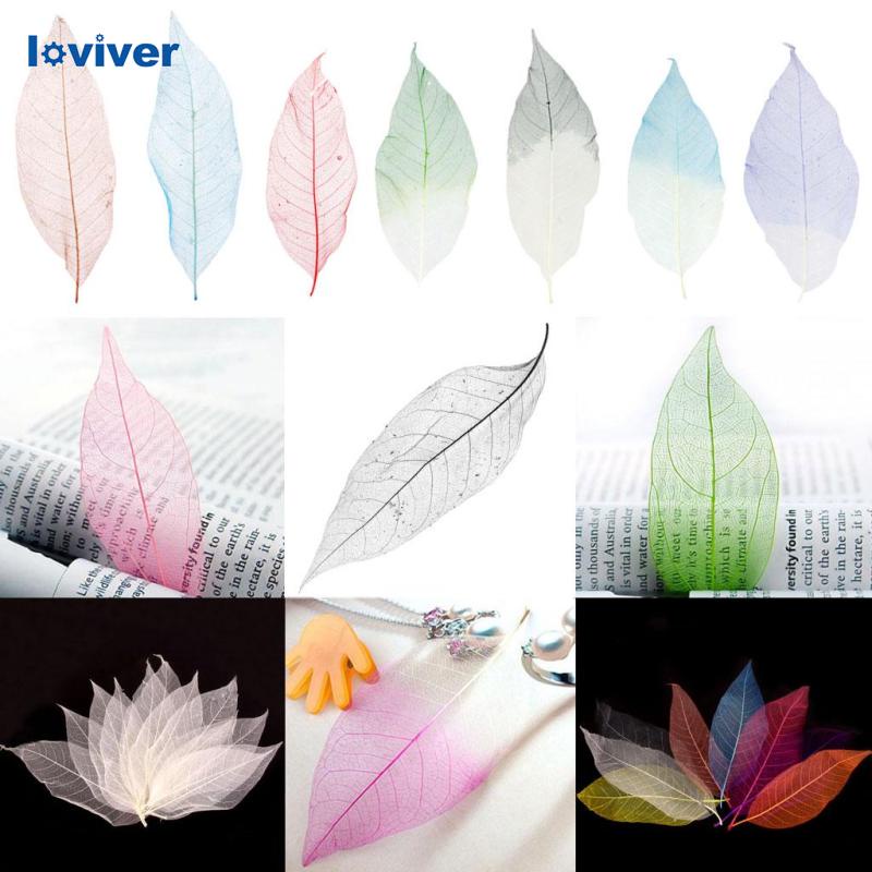 Set 50 Lá Cây Tự Nhiên Nhiều Màu Sắc Dùng Trang Trí Thủ Công DIY