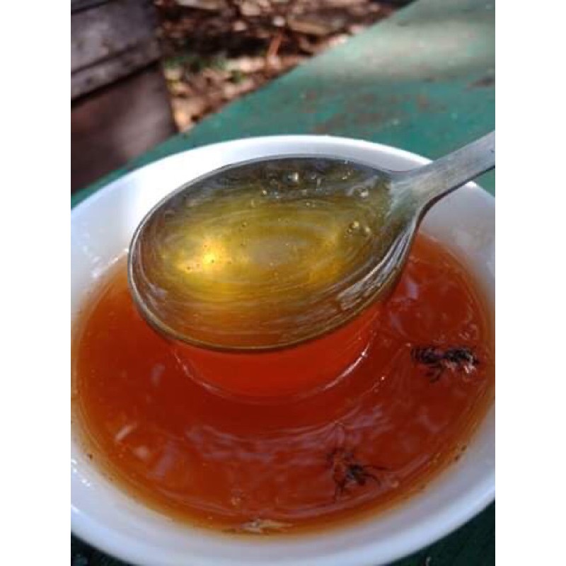 Mật ong  Tây Nguyên ( hoa cà phê Nguyên chất 100%  )