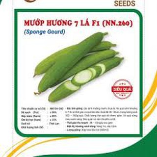 HẠT GIỐNG MƯỚP HƯƠNG 7 LÁ F1 GÓI 2 GRAM
