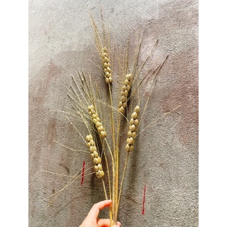 Sỉ cành quả châu trang trí oản tài lộc,cắm bình,bày mâm ngũ quả Tết