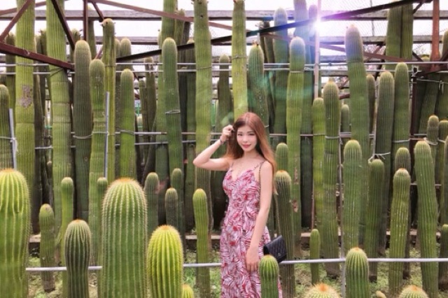 Đầm maxi dài 2 dây hoạ tiết lá cây phù hợp mùa hè