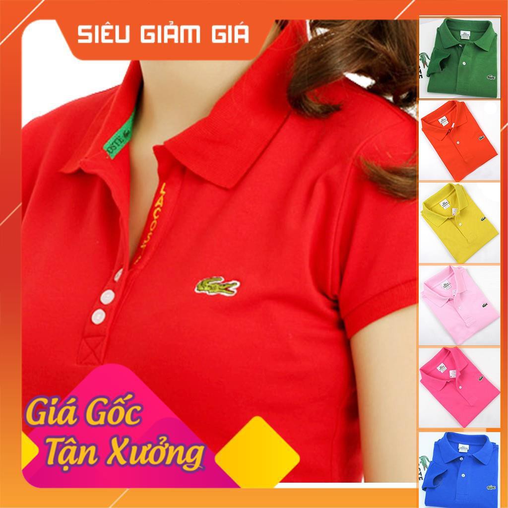 Áo thun thêu logo Lacoste hàng xuất khẩu cao cấp cho Nữ