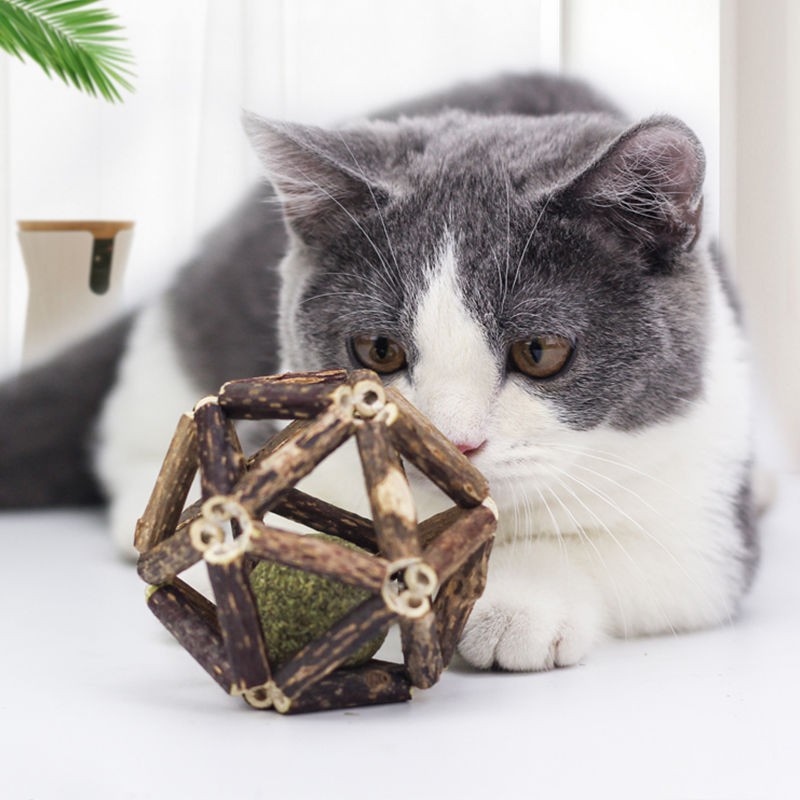Vật nuôi Mèo Chó Mint Quả bóng tinh tế Đồ chơi tự sướng lớn Mattia Polygonum Thanh bạc hà Trẻ