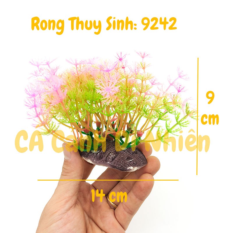 Mô hình cây rong Thủy Sinh trang trí hồ cá cảnh size 12CM