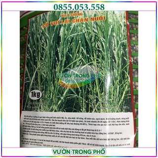 Hạt giống cỏ voi lai gói 500g