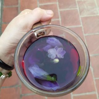 TRÀ HOA ĐẬU BIẾC - 1KG