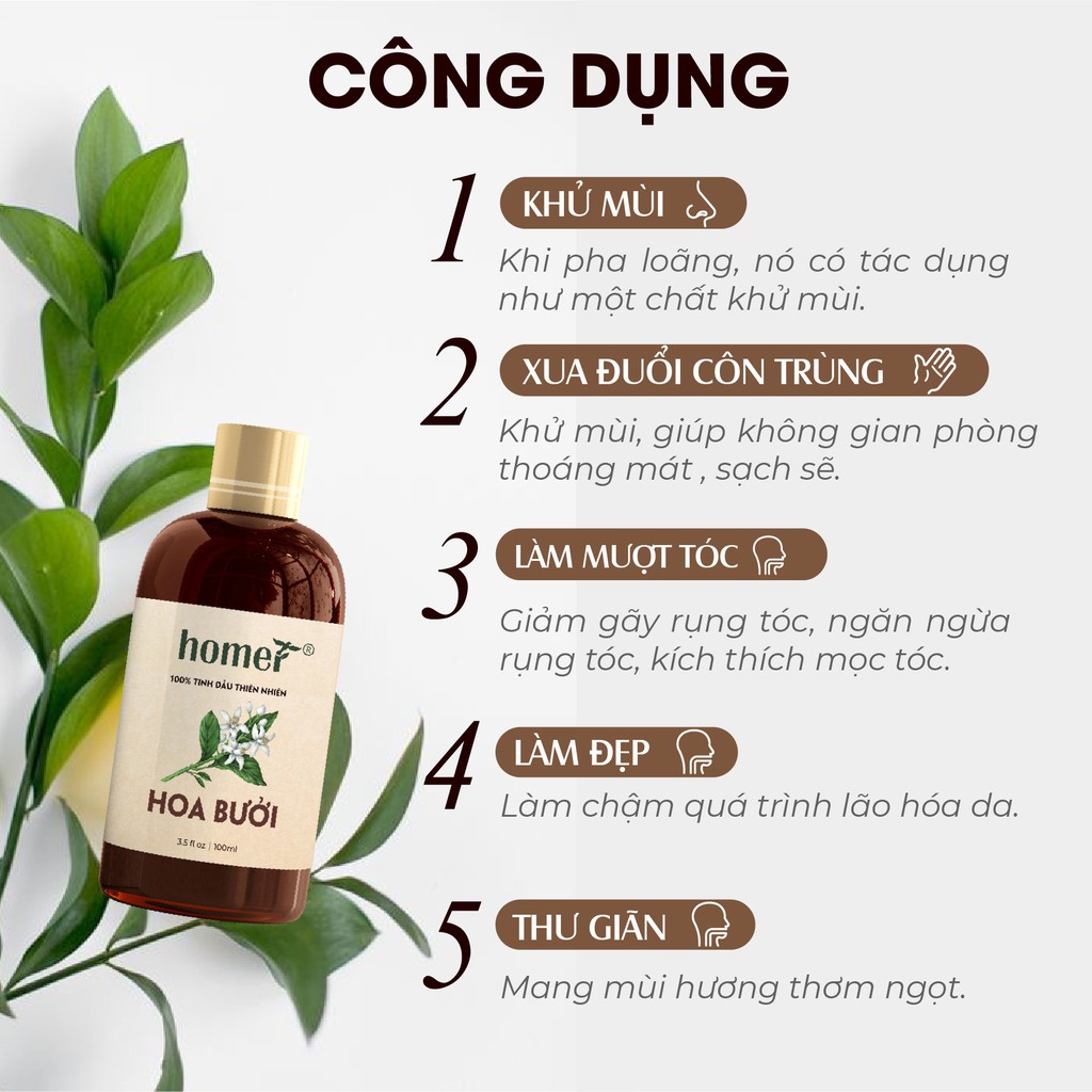 Tinh dầu Hoa Bưởi Homer 20ml/100ml giá dùng thử - Grapefruit Essential Oil  - đạt chuẩn chất lượng kiểm định