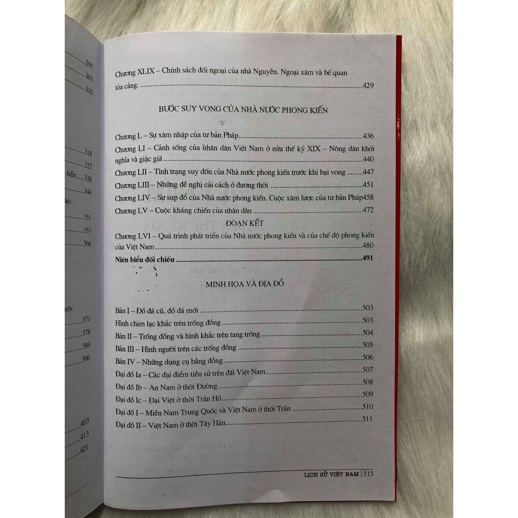 Sách - Lịch Sử Việt Nam - Từ Nguồn Gốc Đến Thế Kỷ XIX (Đào Duy Anh) Gigabook | BigBuy360 - bigbuy360.vn