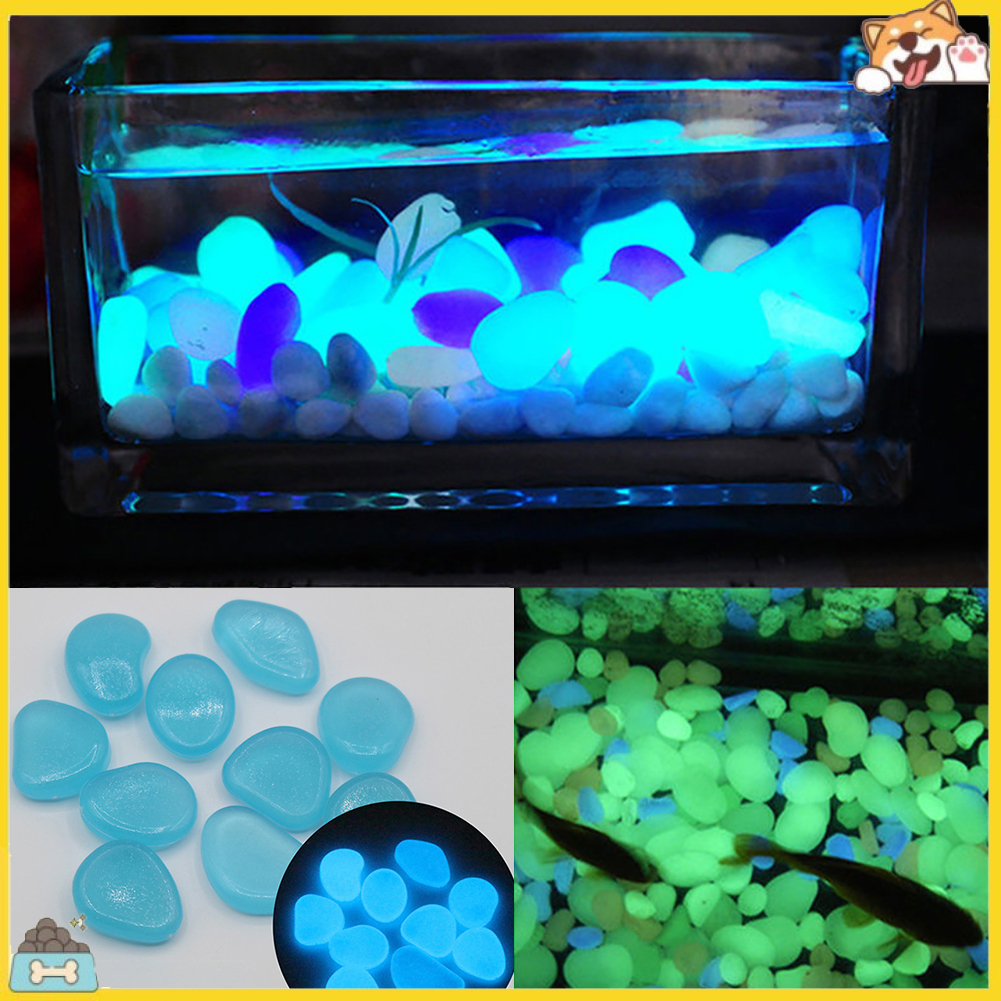 Set 100 viên đá phát sáng trong đêm tối dùng trang trí hồ cá