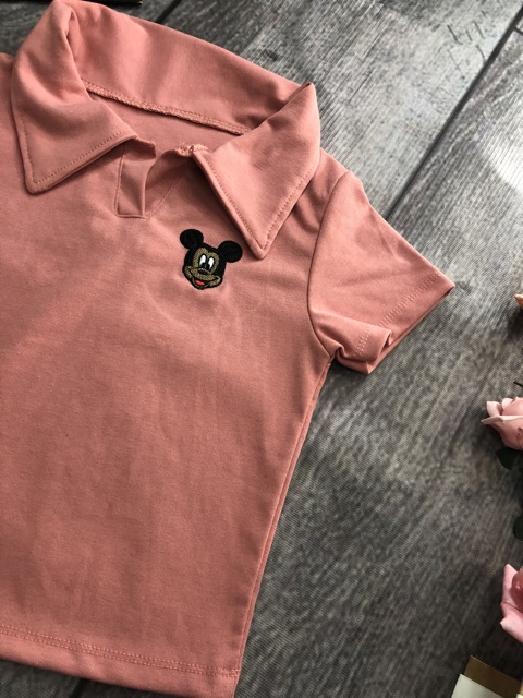 Áo croptop thêu ( hình chụp thật kèm video)