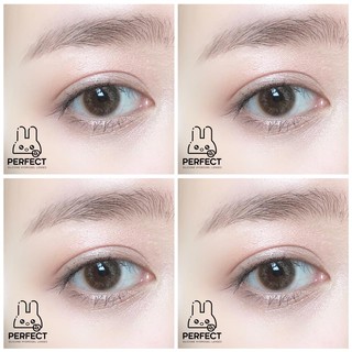 Kính áp tròng Perfect Hydrogel Silicone Lenses + Tặng hộp đựng lens