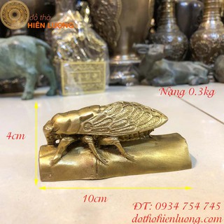 Ve sầu phong thủy bằng đồng - kim thiền - vật phẩm phong thủy