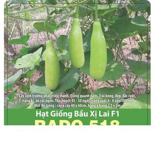 Hạt giống bầu xị lai f1 sai trái 2gr