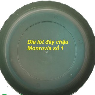 Bán buôn, bán lẻ - Đĩa lót đáy chậu nhựa trồng cây cao cấp Monrovia cỡ số 1 tại thietbinhavuon_chất lượng.