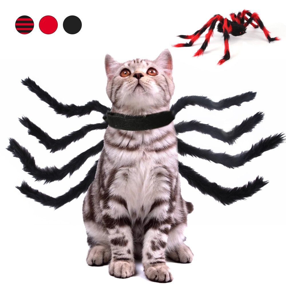 Đai nhện cho chó mèo Thời Trang Chó Mèo vui nhộn