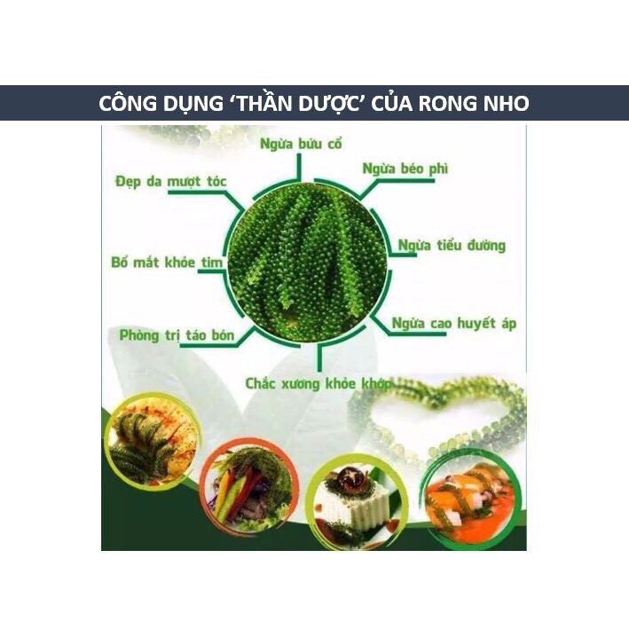 [Mã GROSALE2703 giảm 8% đơn 250K] 1 ký rong nho tách nước nở ra thành 3 ký rong nho tươi tặng 1 chai xốt mè rang 180ml | BigBuy360 - bigbuy360.vn