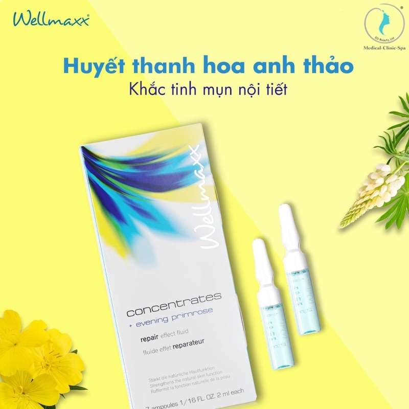 Chuẩn Auth - Set 7 ống huyết thanh chống lão hóa Wellmaxx Concentrates Evening Primrose Repair Effect Fluid