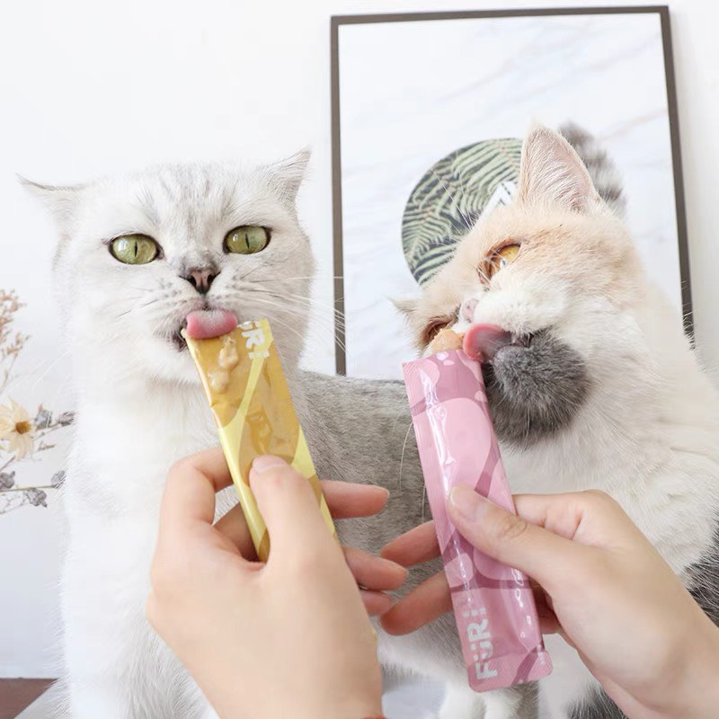 Súp thưởng cho mèo Furfurland 10g, kem snack dinh dưỡng tăng cân mèo lớn con nhỏ Con Mèo Xiêm