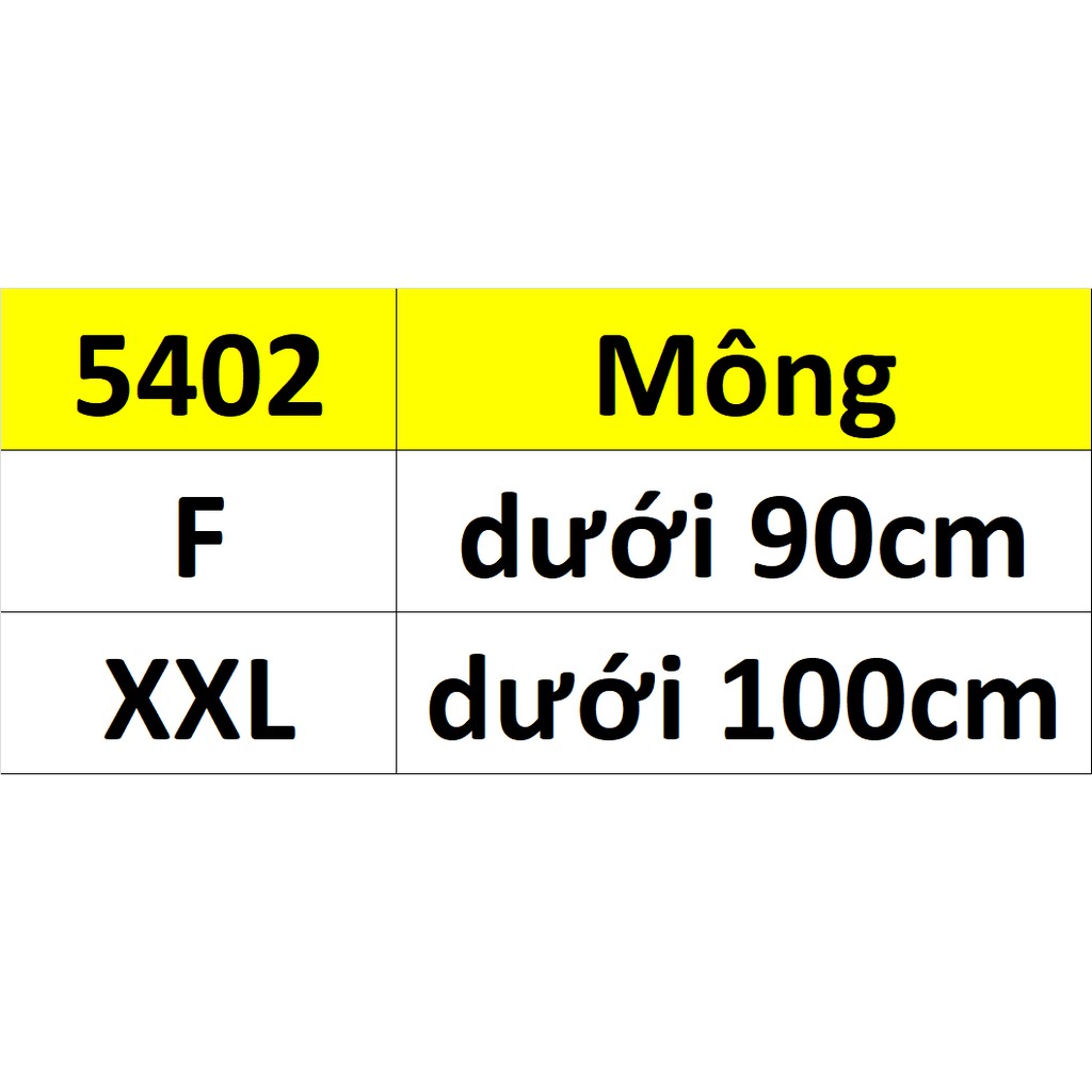 5402 - Combo 5 quần lót nữ phối ren Beautiful Spring