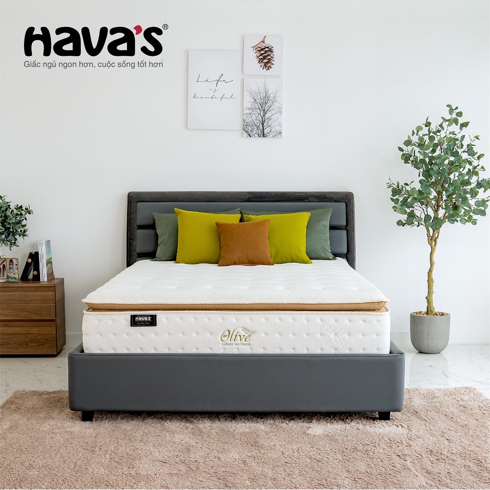 Nệm Havas Olive 1m6 và 1m8 lò xo túi 7 vùng nâng đỡ cơ thể, kháng khuẩn an toàn, bảo hành 10 năm