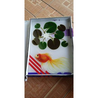 phôi cá 3d