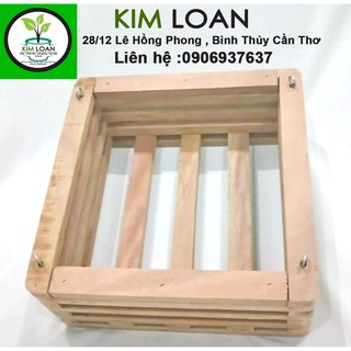 Chậu lan gỗ vuông 20x9cm