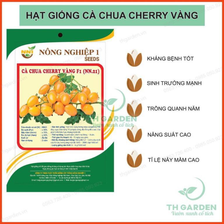 Hạt giống cà chua cherry vàng