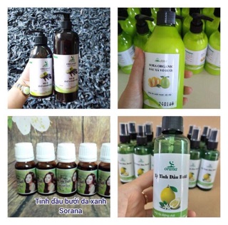 Nước gội bồ kết Sorana