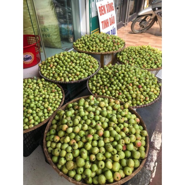 Táo mèo má hồng táo mèo đồi thông túi 5kg