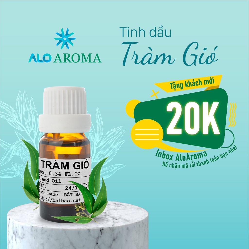 Tinh Dầu Tràm Gió Thiên Nhiên giải cảm, làm đẹp da, đuổi muỗi, chống côn trùng Cajeput Essential Oil AloAroma