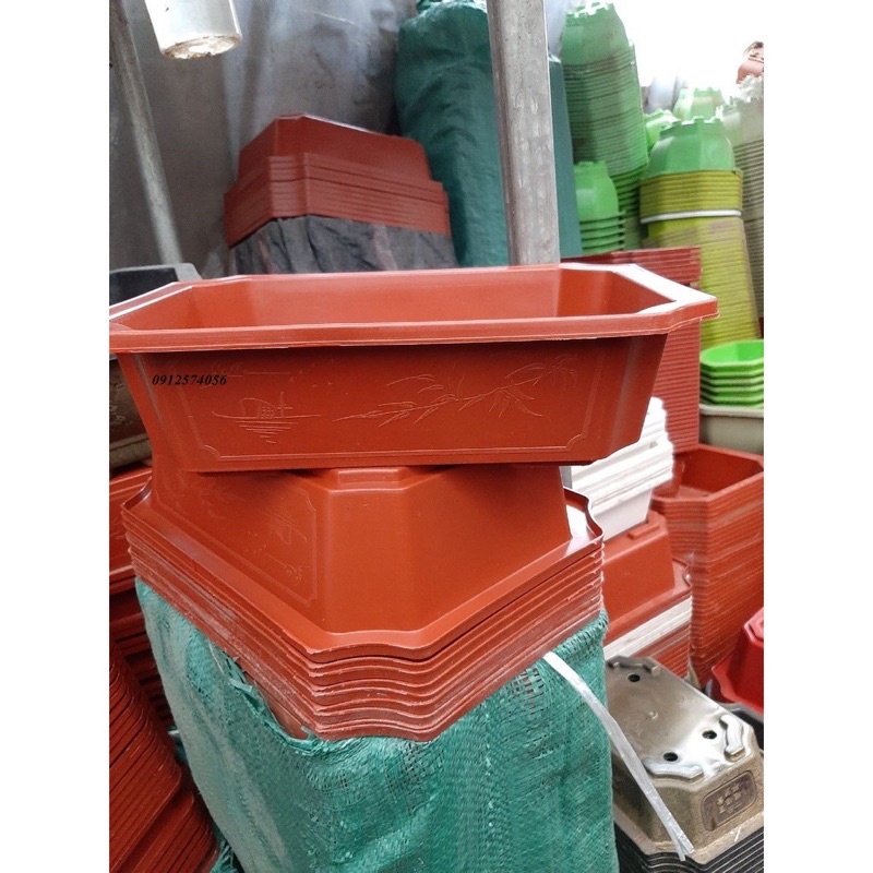 Ang nhựa trồng cây bonsai đủ kích thước