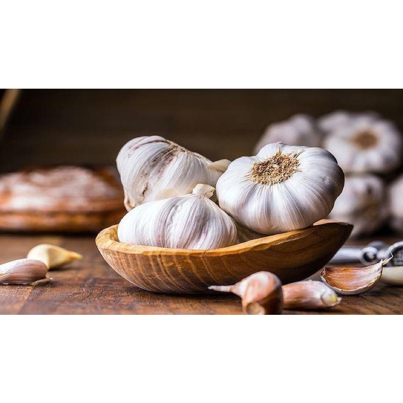TỎI CỦ 1Kg