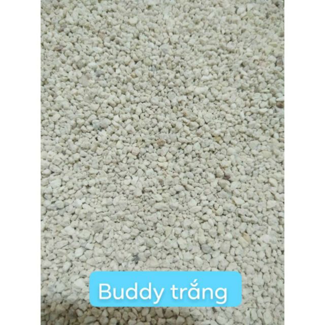 Cát Buddy Trắng Thơm Mát- Siêu khử mùi dành cho hamster