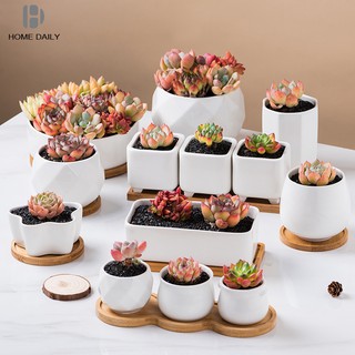 Khay Gỗ Lót Chậu Cây Trang Trí