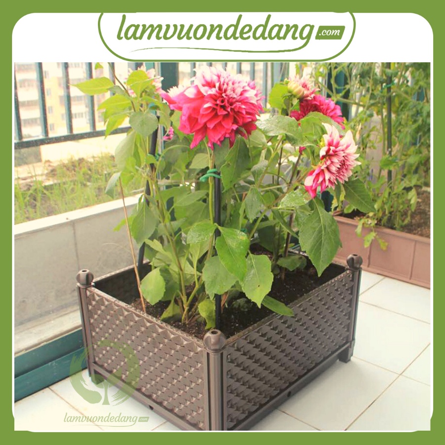CHẬU GHÉP LẮP RÁP THÔNG MINH NHẬT BẢN - CHẬU TRỒNG HỒNG HOẶC TRỒNG RAU, TIỆN LỢI CÓ THỂ GHÉP ĐÔI THÀNH CHẬU LỚN
