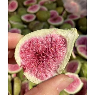 (MUA 1 TẶNG 1) 125G QUẢ SUNG SẤY KHÔ