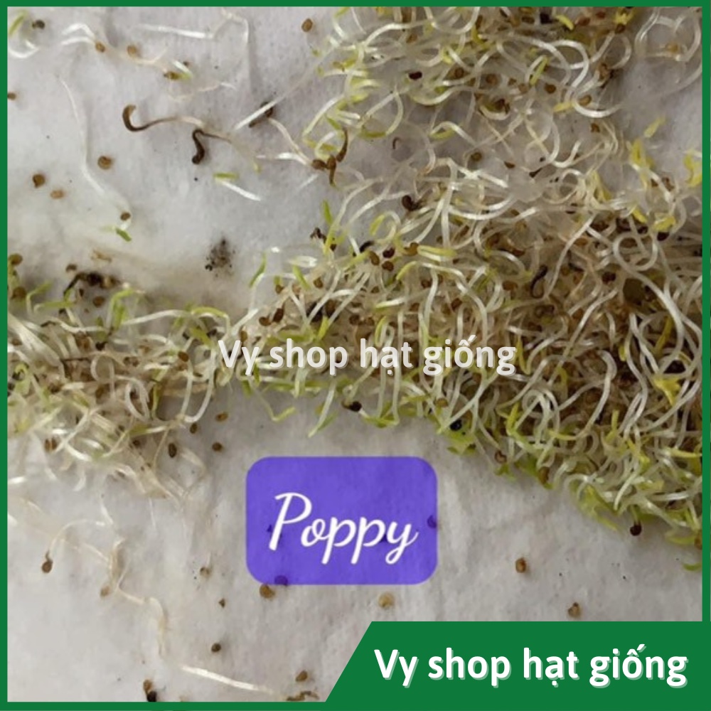 Hạt giống hoa kim anh - poppy gói 1000 hạt mix màu