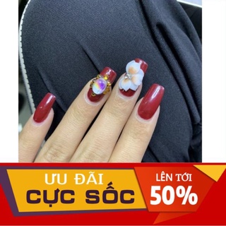 Hoa cúc nhọn - Hoa bột nail