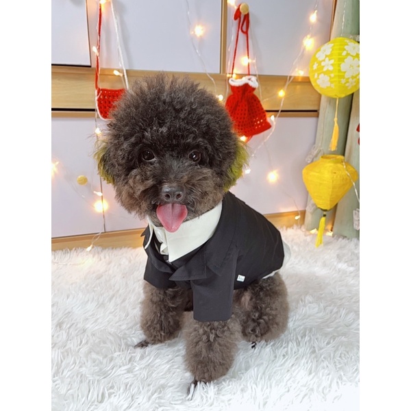 áo vest, áo gile cho chó mèo Dadipet(không gồm sơmi)