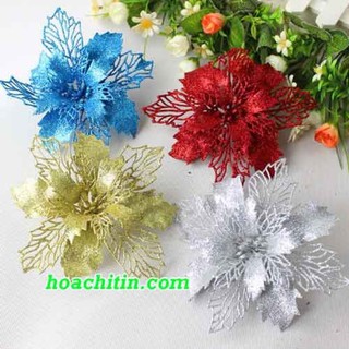 Hoa Trạng Nguyên Kim Tuyến Trang Trí Noel Giáng Sinh