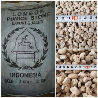 Đá bọt trồng lan nhập khẩu size 1-2cm- tăng độ khoáng- cung cấp khoáng chất cần thiết cho hoa lan và cây cảnh