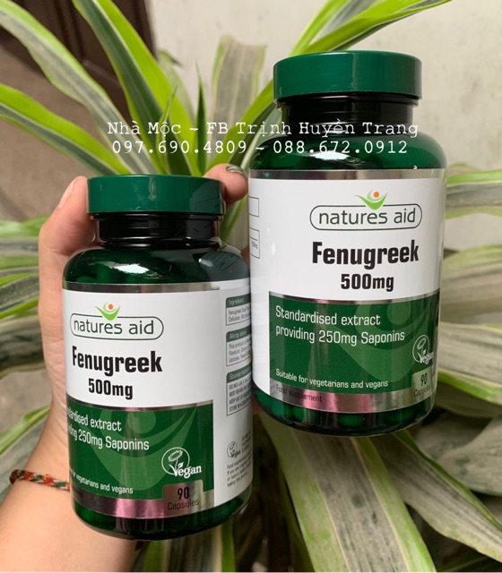 CỎ CARI LỢI SỮA FENUGREEK LỌ 90 VIÊN