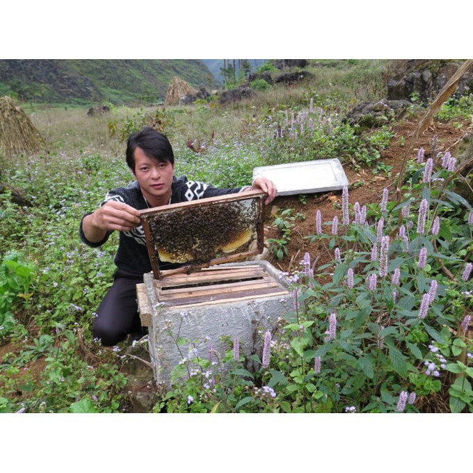 1,4kg/lit Mật ong nguyên chất hoa Bạc Hà, Nhãn, Cà phê, Hoa Rừng Đắc Lắc chai pet SỈ&LẺ