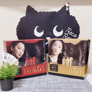 Set dầu gội, xả, dưỡng tóc tsubaki