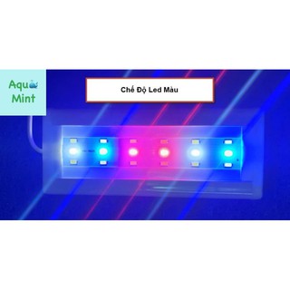 Đèn Led 3 Chế Độ Màu Lebaoyu Bể Cá, Bể Thủy Sinh 20cm,30cm, 40cm